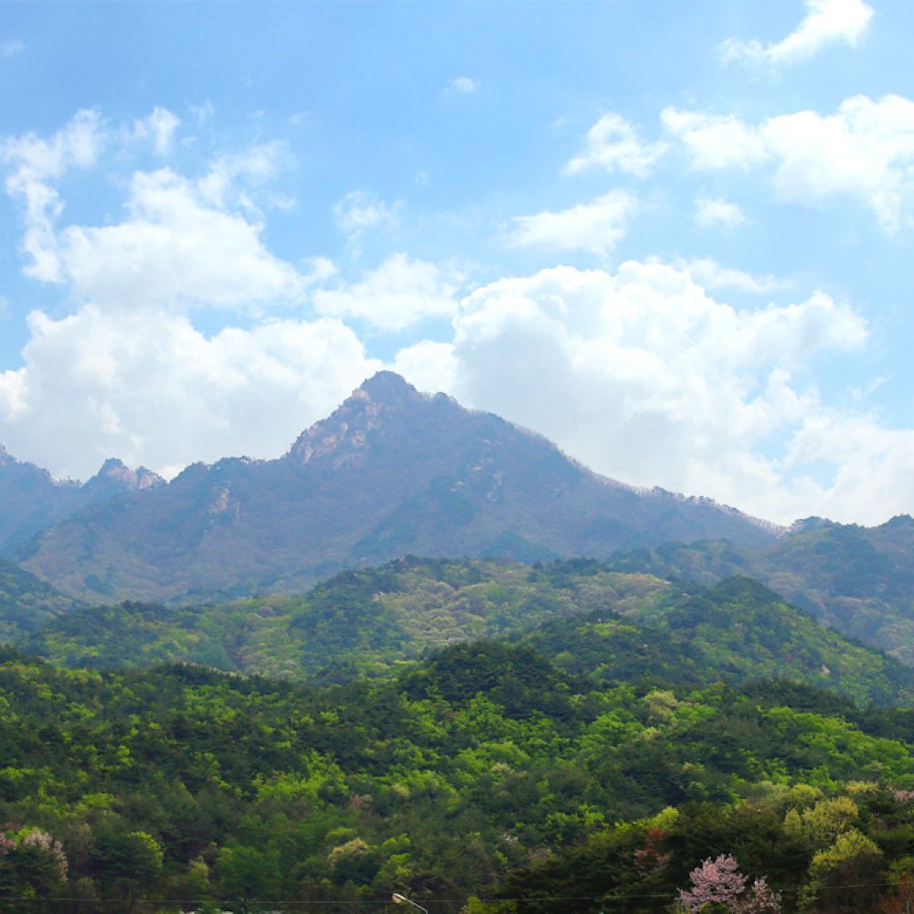주간전경
